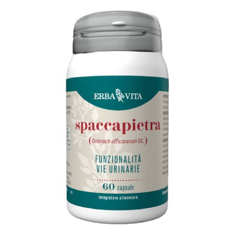 SPACCAPIETRA 60CPS